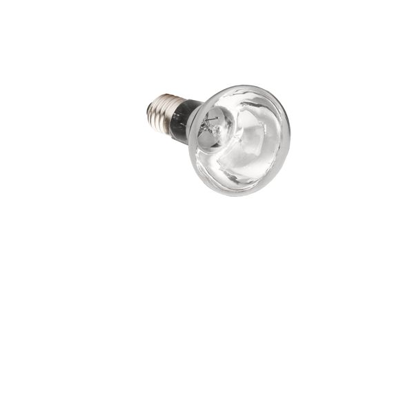 Komodo Basking Spot Lamp ES, 75 Watt