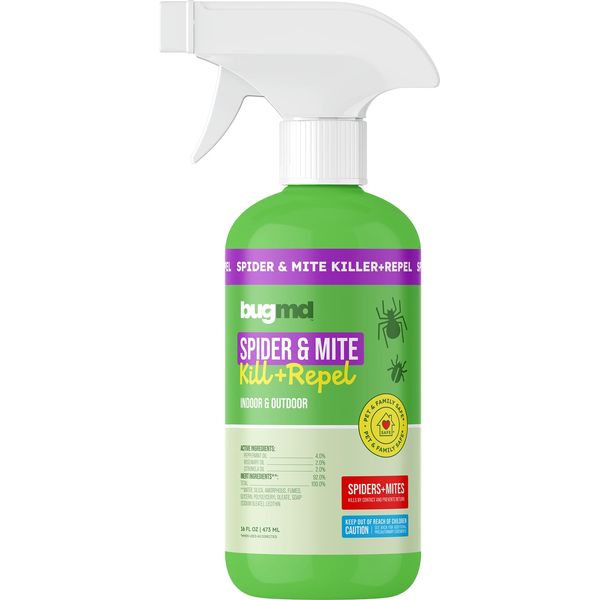 All-Purpose Spider and Mite Solution