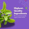 White Stevia Powder Packets, Single-Serve, Zero Calorie Sugar Substitute, 100 Co