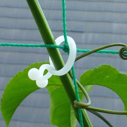 The Work, Will one-touch [Green Curtain] Gardening for convenient clip (Medium) 20 Pcs/pack twccagl – Wo