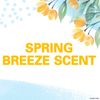 Secret Invisible Solid Antiperspirant and Deodorant, Spring Breeze, 2.6 oz