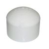 Dynasty Spa PVC 2 Inch Slip Cap DYN10545