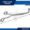 4 Randall Kidney Stone Forceps Surgical & Veterinary Instruments German Grade
