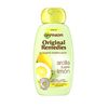 Garnier Atesora