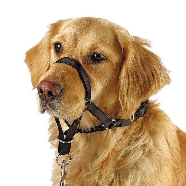 BARKLESS Soft Dog Head Collar, No Pull Training Tool for Small Medium Large Dogs on Walks, Gentle Training Collar and Control for Heavy Pullers, Includes Free Training Guide