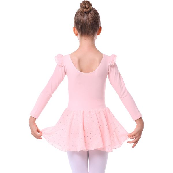 danswan Toddler Girls Long Sleeve Ballet Leotards Dance Dresses Tutu Outfit Ballerina with Glitter Skirt (2-3T, Ballet Pink)