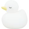 EX-3277 Hassey Top-in Interior Light, Duck Nightlight, Mini, White