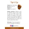 Metal Wine Bottle Stopper, Tiger's Eye