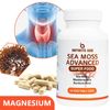 Thyroid Health Capsules, improving abnormal weight and promoting metabolism