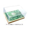 Kamidake "Aso Gotaku (Summer) 100,000" (Kit)