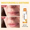 24 Count Flavored Lip Balm Set Coconut Strawberry Mango Natural Moisturizing
