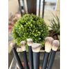 Lithe Everyday 6 Piece Assorted Cosmetic Brush Set~Highlighte