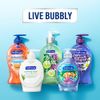 Softsoap Liquid Hand Soap, Aloe - 7.5 fluid ounce