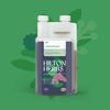 Hilton Herbs Equimmune Gold 1 Litre