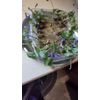 20 +Plants Purple Native Wild Violet Flower Viola, Bareroot Rhizomes, Organic