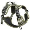 HEELE Dog Harness, No Pull, Release on Neck, Reflective, Adjustable, Padded, Green, XS