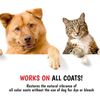 Magic Black Brightening Dog Shampoo