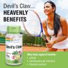 Solaray Devils Claw Root 525mg | 100 VegCaps