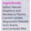 Xyloburst Xylitol Berry Mints 200 Count Jar