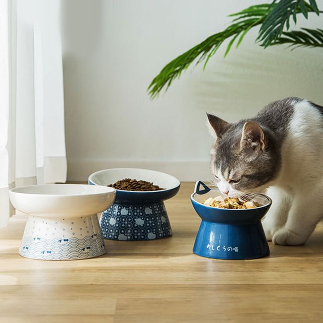 Elevated Cat Food Bowls, Ceramics Dog Cat Water Bowls Stand with No-Spill  Design,3 Adjustable Heights Anti Vomiting cat Bowl,5 inches Ceramic Bowl  for Medium and Small Size Dog Cats White