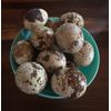 Freeze Dried Fully Cooked Scrambled QUAIL Eggs Free Range/Farm Raised 7 oz