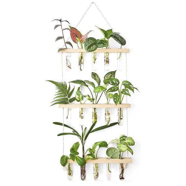 Mkono Plant Propagation Mini Test Tubes, 3 Tiered Wall Hanging Plant Terrarium with Wooden Stand Flower Vase Glass Planter for Hydroponic Plant Cutting Home Garden Office Decor Plant Lover Gift