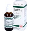 ECHINACEA PENTARKAN H Blend 50 ml