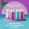 Hyland's Organic Elderberry Plus Gummies 60 Count Immune Support Vegan