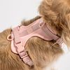 Wild One Harness 2.0 - Medium - Pink