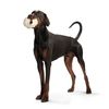 Hunter Snuggly 91805 Dog Toy Sheep