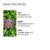 Molton Brown Refined White Mulberry Hand Lotion 300 ml