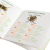 Constructive Playthings Geoworld Bugs World Collection, 12 Real Insects, Scientific Educational Toy