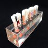 Dental Teeth Model 4-Stage Endodontic Treatment Model for Studying and Teaching …