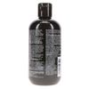Paul Mitchell Tea Tree Special Color Shampoo 10.14 oz