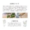 Kanoko no Herbal Water
