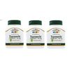 21st Century Turmeric Complex Capsule 60ct X **3 Packs**