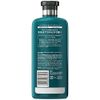 Herbal Essence Moroccan Oil
