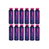 12 SpaPure Stain & and Scale Preventer - 1 pt