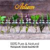 Artizen 30ml Oils - Tea Tree Essential Oil - 1 Fluid Ounce