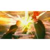 BLEACH Rebirth of Souls (PS4)