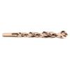 Black & Decker/DWLTDW1931Split And Pilot Point Bit-31/64" PILOT POINT BIT (Parallel Import)