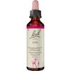 BACH-BLÜTE OAK (Eiche), 20 ml [Badartikel]