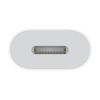 Apple USB-C to Lightning Adapter