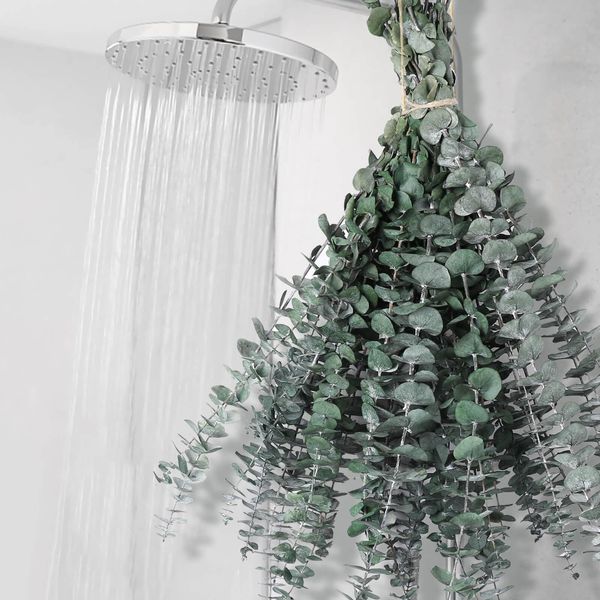 12 PCS Dried Eucalyptus Bundle for Shower - 17" Large Preserved Eucalyptus Stems Shower Plant, Fresh Real Eucalyptus Leaves for Shower Hanging, Artificial Flowers Arrangement, Home Bathroom Decor