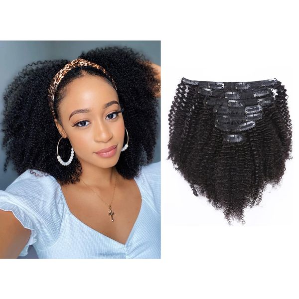 Afro Kinky Curly Clip in Human Remy Hair Extensions Brazilian Curly Clips Hair Extensions 4B 4C 8A Virgin Thick Natural Black Color Clip on For Black Women 10-22 inch (10 inch, AC #1B)