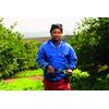 Felco Pruning Shears (F 5) - High Performance Swiss Made One-Hand Garden Pruners