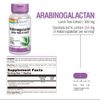 SOLARAY Arabinogalactan, Larch Tree Extract 300mg | Prebiotic Fiber for Healthy Gut & Immune System Support | 60 VegCaps