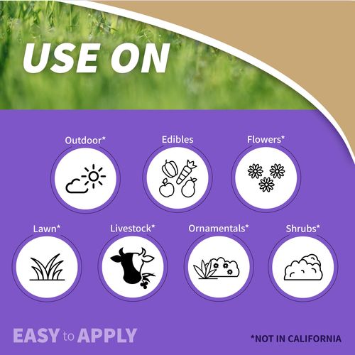 Bonide (BND141) - Sulfur Plant Fungicide, Organically Controls Rust, Leaf Spot and Powdery Mildew (1 lb.), Ready-to-Use