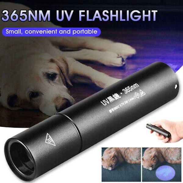 365nm UV Flashlight Black Light Pet Urine Stains Bug Detector Rechargeable Light