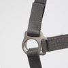 PFIFF 102921 Jocose Safety Halter Paddock Headcollar Grey Pony